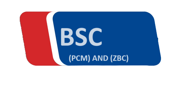 BSC